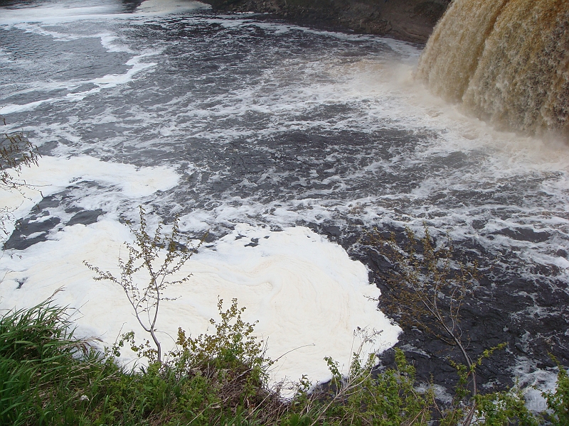 294 Memorial Day [2008 May 23].JPG - Scenes from Tahquanemon Falls in the Michigan Upper Peninsula.